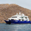 Endemic Luxury Catamaran