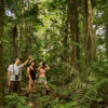 Jungle Hike