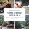 rafting jatunyacu river tena