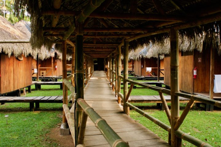 Amazon jungle tour