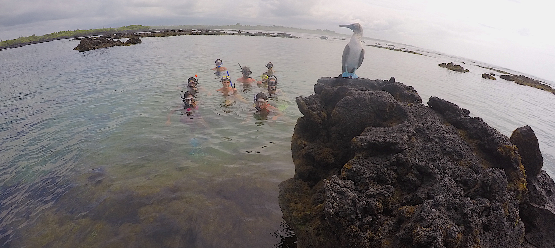 Galapagos Island Hopping West 6 Days