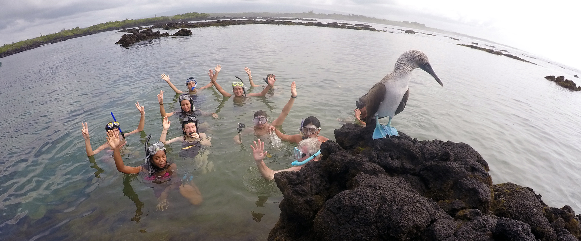 Galapagos Island Snorkel