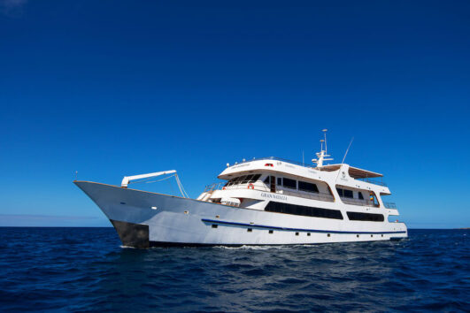 Galapagos Odyssey Galapaogs Cruise