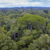 View tower la Selva Jungle Lodge