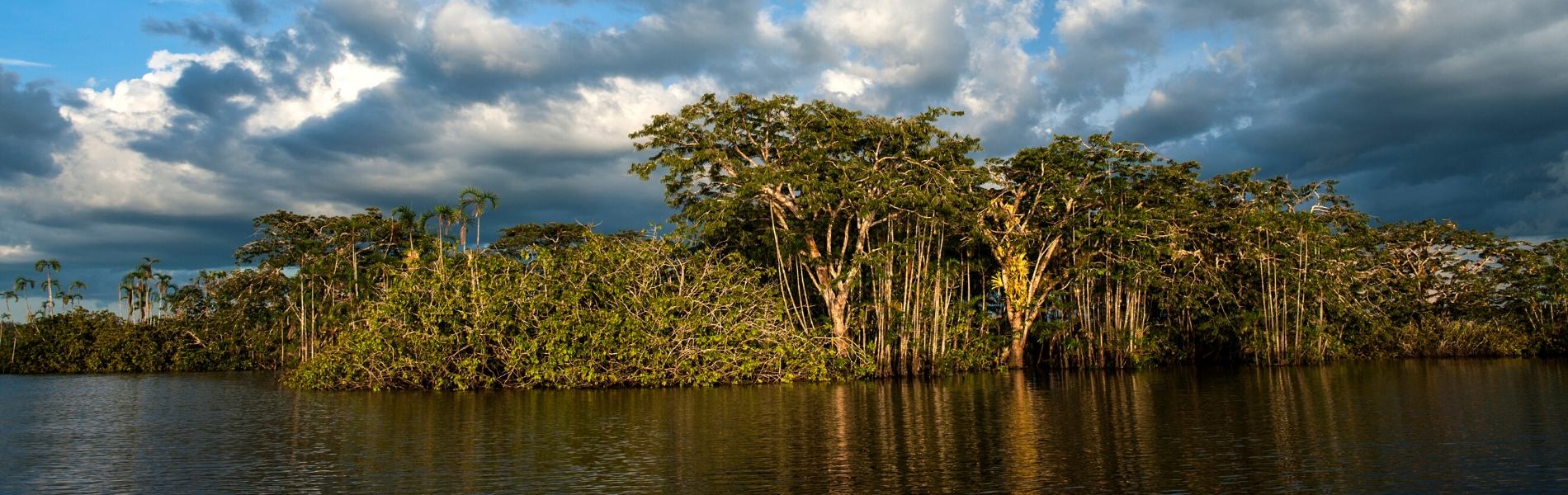 Cuyabeno Amazon Jungle Tour