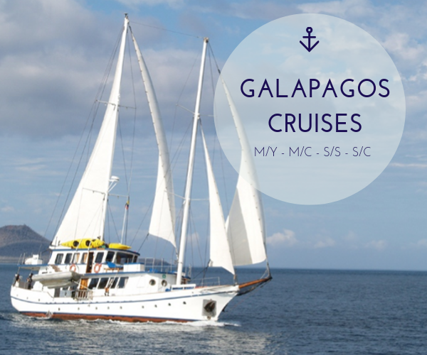 GALAPAGOS CRUISES