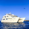 Treasure of Galapagos Cruise exterior view