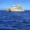 Treasure of Galapagos Cruise exterior view