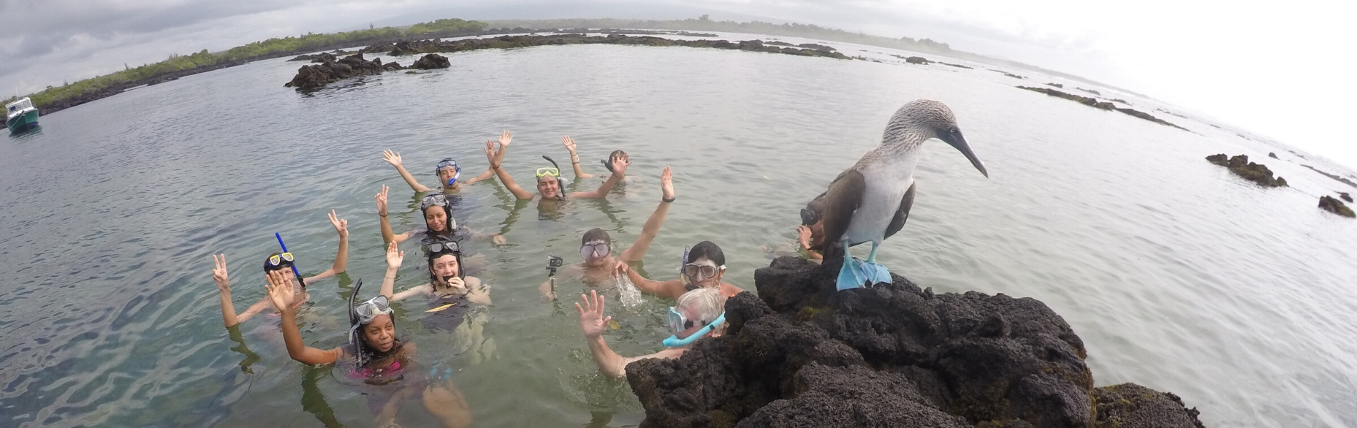 Galapagos Island Hopping