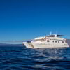 Archipel Galapagos Cruise