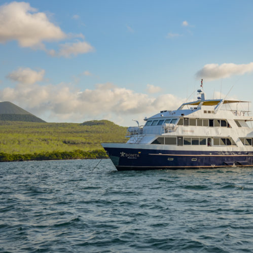 Bonita Yacht & Galapagos Bonita Galapagos M/Y