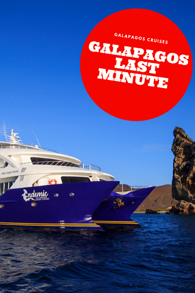 Galapagos Last Minute Cruises
