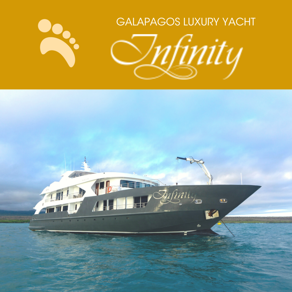 Infinity Galapagos Cruise
