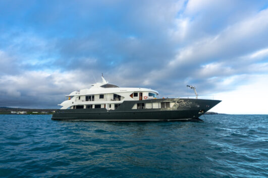 Infinity Galapagos Cruise