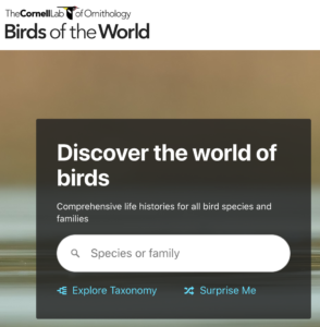 Birds of the World