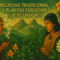 Healing Plants and Traditional Medicine of Ecuador