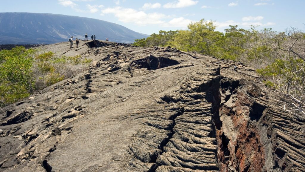 Travelers explore a vast lava field on Fernandina Island, Galápagos, where jagged volcanic rock stretches to the sea. This surreal landscape, untouched by human development, offers a rare chance to witness Earth’s raw geological power and the origins of island life.