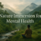 Person meditating in Ecuador’s cloud forest, surrounded by lush greenery and misty mountains, symbolizing nature immersion and stress relief.