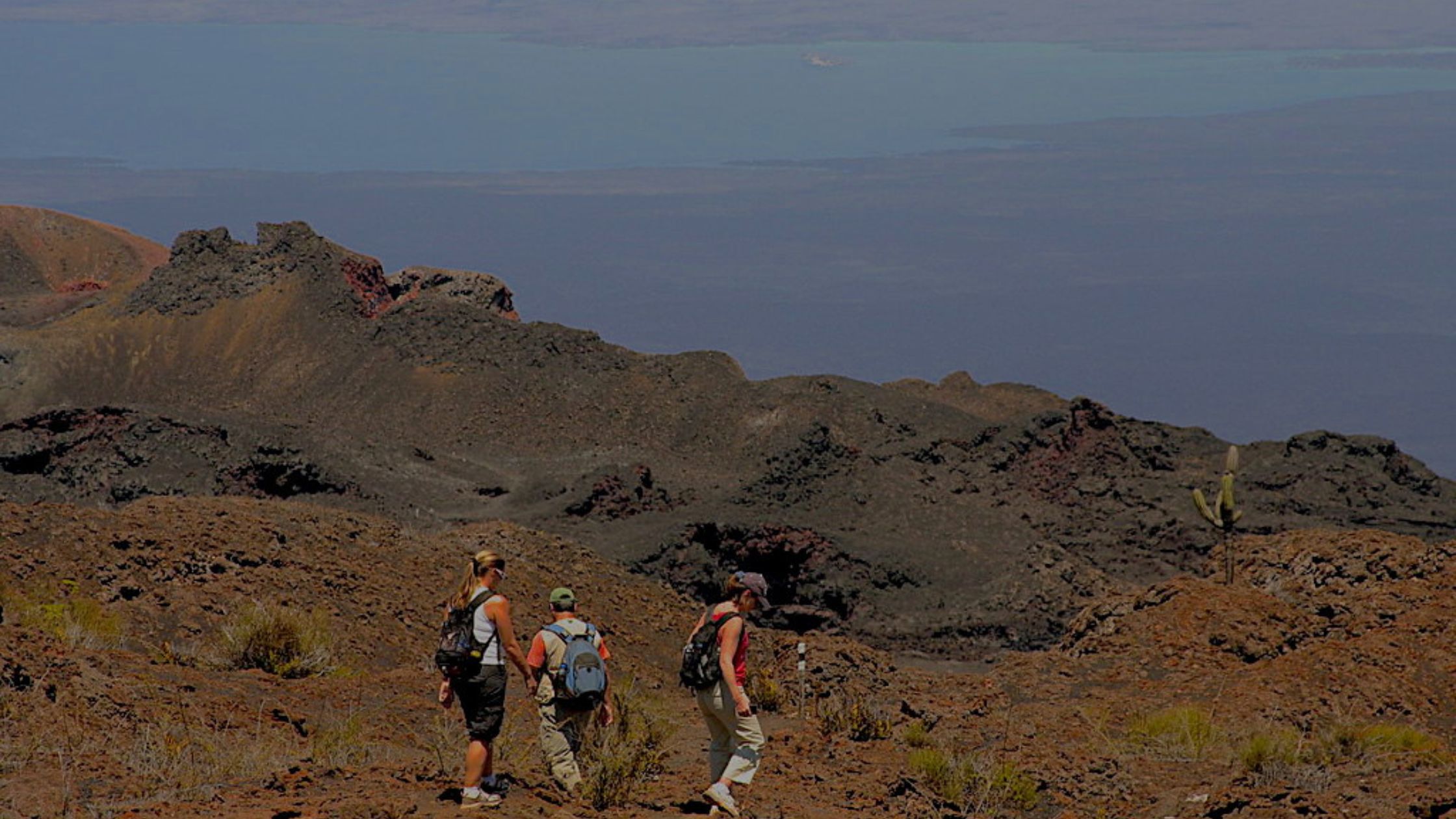 Galápagos Elements: Iconic Islands Expedition