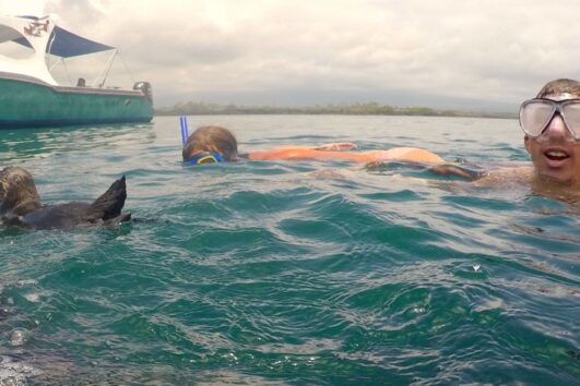 Snorkeler swimming alongside a Galápagos penguin in the crystal-clear waters of the Galápagos Islands
