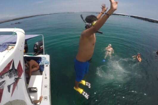 Snorkeling with sea turtles in crystal-clear waters near Isabela Island, with volcanic cliffs and marine iguanas in the Galápagos Islands.