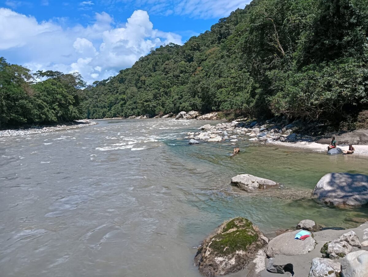 Rainforest river in the Upper Napo region of Ecuador